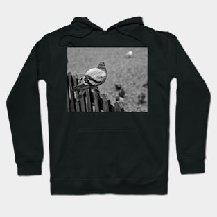 On the fence Hoodie